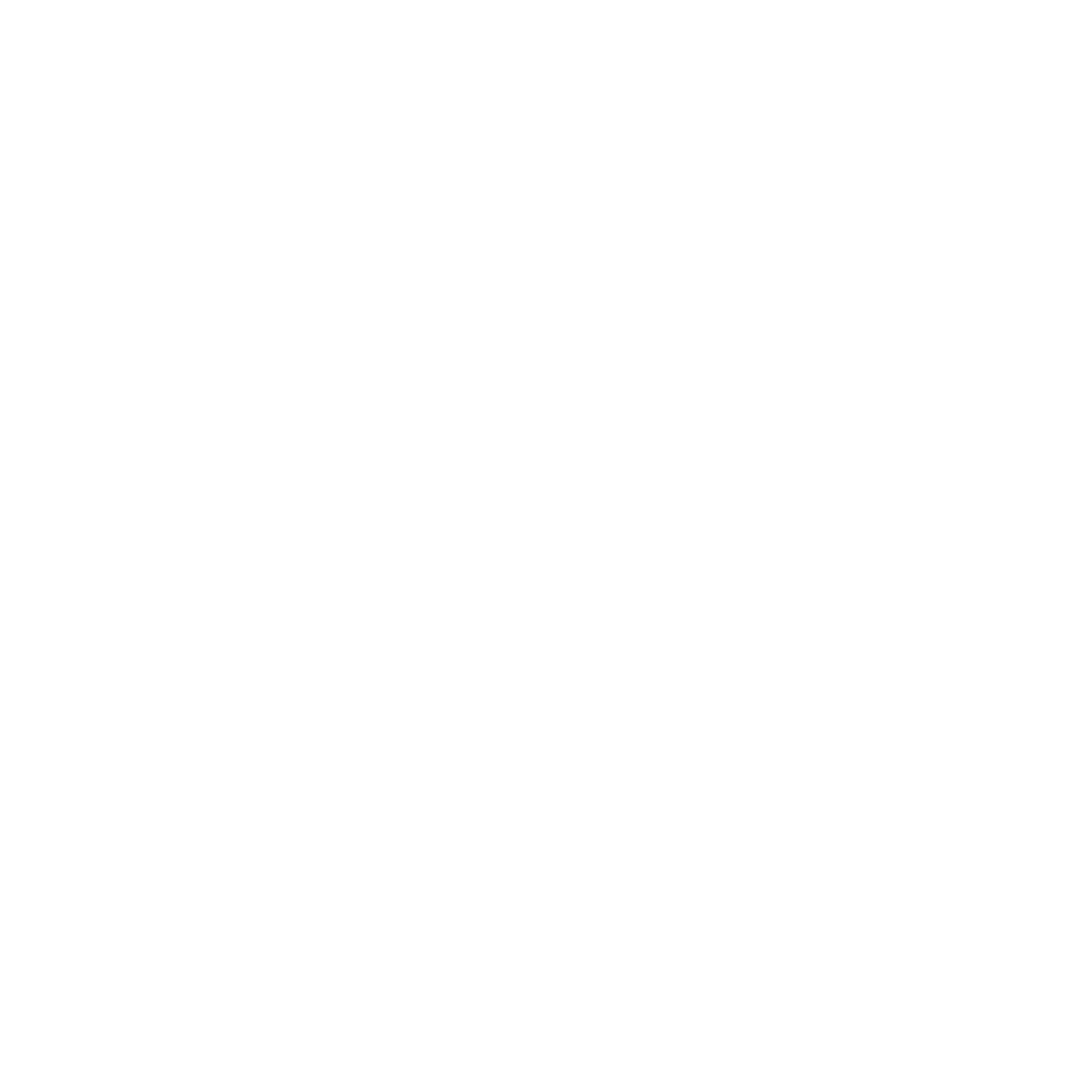 Straight Outta Shimla logo